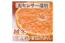 ★＜1月中頃より発送＞ 家庭用 越冬完熟みかん 5kg+150g（傷み補償分） ハウスみかん 訳あり わけあり 光センサー選果［IKE191］