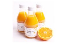 ★※重複の恐れあり※とろり みかんネクター 180ml×12本 無添加 100% ストレートジュース 有田みかん ジュース 池田鹿蔵みかん農園 ［IKE135］