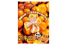 【先行予約】小粒みかん2Kg　高糖度！みかんの里！【SmileFruitみかんキング厳選】2025年10月下旬以降順次発送