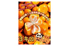 【先行予約】小粒みかん3kg　高糖度！みかんの里！【SmileFruitみかんキング厳選】2025年10月下旬以降順次発送