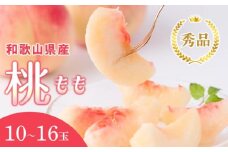 和歌山県産 桃 10玉～16玉 約4kg 秀品 冷蔵配送 2024年6月中旬から2024年8月下旬発送予定 【US37】
