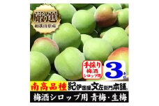 南高梅【緑】3kg ■特大サイズ  梅酒用 フレッシュ青梅（生梅）／紀伊国屋文左衛門本舗