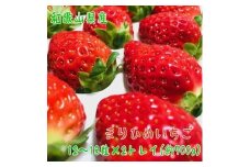 完熟まりひめいちご 12～18粒×2トレイ(約700g)【先行予約】【農家直送】【和歌山ブランド苺】【大人気】【MS1】