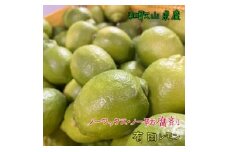 ※掲載不可※【国産】紀州和歌山　有田レモン　約２ｋｇ