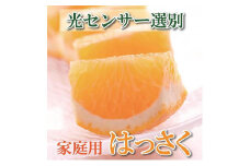 ＜4月より発送＞ 家庭用 樹上完熟 はっさく5kg+150g（傷み補償分） 八朔 訳あり わけあり さつき 木成 ［IKE35］