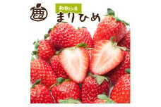 ＜4月より発送＞ 朝摘み 毬姫 約600g（300g前後×2P）和歌山 苺 まりひめ ［IKE103］