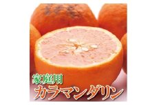 ［先行予約］家庭用 カラマンダリン5kg+250g（傷み補償分）［南津海・なつみ］［希少な春柑橘］［わけあり・訳あり］［みかんと同じように食べられます］［IKE70］
