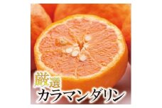 ［先行予約］厳選 カラマンダリン1kg+250g（傷み補償分）［南津海・なつみ］［希少な春柑橘］［みかんと同じように食べられます］［IKE65］