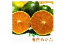 ※受付終了※ 厳選！濃厚青切り有田みかん4kg【2023年9月中旬～発送】【農家直送】【先行予約】