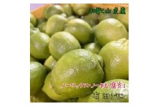 紀州和歌山 有田レモン 約3kg［農家直送］［先行予約］［MS68］