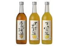 (A002)和歌のめぐみ酒【B】セット 720ml×3種 (有田の八朔酒／南部の梅酒／有田の甘夏酒)