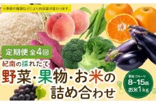 【年4回お届け（3・6・9・12月）】紀南の採れたて野菜・フルーツ定期便（春・夏・秋・冬）8～15品目詰め合わせ