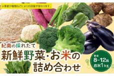 紀南の採れたて新鮮野菜・お米詰め合わせセット（8～12品目詰め合わせ）