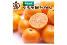 ＜11月より発送＞ 厳選 小玉な 有田みかん 2.5kg+75g（傷み補償分） 光センサー選果 ［IKE186］