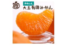 ＜11月より発送＞ 厳選 大きな 有田みかん 4kg+120g（傷み補償分） 光センサー選果 ［IKE180］