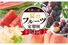 定期便全3回 和歌山の人気の夏のフルーツをお届け！ ［TM204］