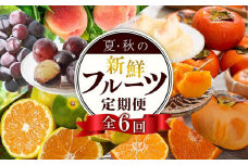 【定期便全6回】夏・秋の新鮮フルーツ定期便 ［TM203］