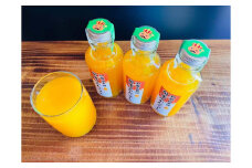 和歌山 有田果汁 100％ 旬味 みかんジュース  5本  果実飲料