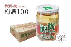 ワンカップ 梅酒100ml（梅酒90ml、梅実10ml） ×24本