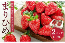 まりひめイチゴ L～２L 12粒～15粒×2パック［2026年1月中旬から発送］［先行販売］［KG7］