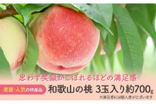 【産直・人気の特産品】和歌山の桃 3玉入り 約700g  ★2025年6月下旬から8月中旬頃順次発送★【TM93】