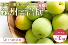 【2025年5月下旬以降発送】紀州南高梅(青梅) 10kg〈Lサイズ〉