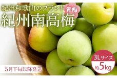 【2025年5月下旬以降発送】紀州南高梅(青梅) 5kg〈大粒/3Lサイズ〉