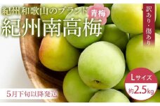 【2025年5月下旬以降発送】訳あり 紀州南高梅(青梅) 2.5kg〈Lサイズ〉