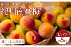 【2025年6月上旬以降発送】紀州南高梅(完熟梅) 5kg〈Lサイズ〉