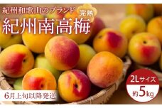 【2025年6月上旬以降発送】紀州南高梅(完熟梅) 5kg〈2Lサイズ〉