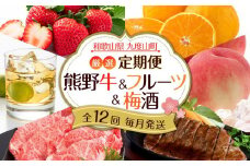 全12回 和歌山 厳選 定期便 熊野牛 フルーツ 梅酒 12か月 毎月発送【MG61】