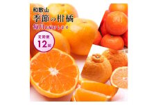 ［ 毎月発送 全12回 ］ 柑橘定期便B［IKE10］