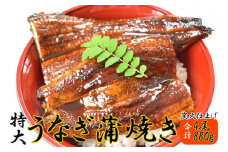 うなぎ蒲焼き4尾入り 880g（蒲焼たれ8袋 山椒付き）【KS9】