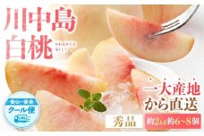先行予約！［モモ］川中島白桃　約2kg 6～8個入［2026年7月末頃から順次発送］［秀品］こだわり農家厳選 ［KG13］