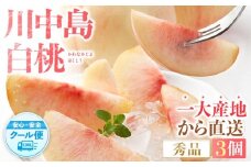 ［秀品］川中島白桃 食べきりやすい3個入り［2026年7月末頃から順次発送］こだわり 農家厳選 先行予約 モモ［KG16］