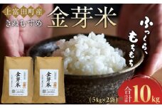 令和7年産  上富田町産 金芽米 きぬむすめ 10kg （ 5kg × 2 ) 井戸本農園