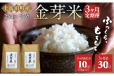 【 定期便 】 令和7年産   上富田町産 金芽米 きぬむすめ 10kg × 3か月 井戸本農園