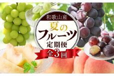 定期便全3回 【7月・8月・9月発送】 和歌山のフルーツをお届け（桃・たねなしピオーネ・シャインマスカット）【TM180】