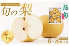 先行予約 旬の梨 極上 秀品（中玉～大玉）6～8個入り 【KG23】