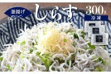 冷凍釜揚げしらす300g【DN5】