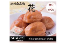 紀州南高梅 「花」 塩分約6％ 500g ［YM7］