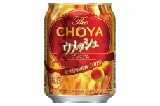 【南高梅100％】The CHOYA ウメッシュプレミアム 250ml×24本 ［MG82］