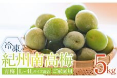 冷凍 紀州南高梅 青梅   約5kg   L～4Lサイズ混合 ご家庭用