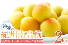冷凍 紀州南高梅 完熟梅   約2kg   L～4Lサイズ混合 ご家庭用