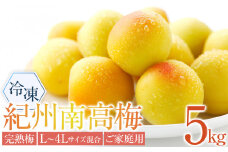 冷凍 紀州南高梅 完熟梅   約5kg   L～4Lサイズ混合 ご家庭用