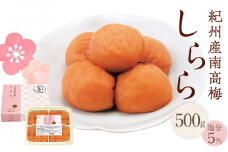 紀州産南高梅 梅干し しらら  500g 減塩 梅干 塩分5% 中田食品