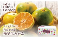 和歌山県産 極早生みかん 家庭用 Lサイズ 5kg ［Sn8］