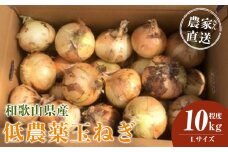 ［2026年発送分・先行予約］農家さん直送 低農薬玉ねぎ Lサイズ 10kg程度［4月中旬～7月中旬頃発送予定］［KF16］