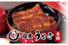 国産うなぎ 関西風蒲焼 大サイズ２枚(合計約300g)薬味付【すさみグルメ市場】【miw102】