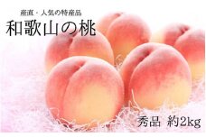 【産直・人気の特産品】和歌山の桃 約2kg 秀品 ※2025年6月下旬～8月上旬頃順次発送 / もも ジューシー 甘い フルーツ ギフト 夏ギフト 贈り物 プレゼント お祝い 果物 くだもの 16000円 人気 産地直送 お取り寄せ 和歌山【tec910A】
